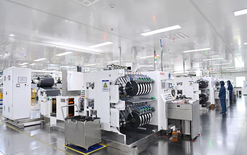 歐盟發(fā)愁 若不采取措施,2030年歐盟將像依賴俄羅斯能源一樣依賴中國(guó)電池